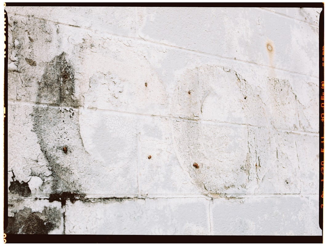 Flood Cleanup service in Santa Fe, NM