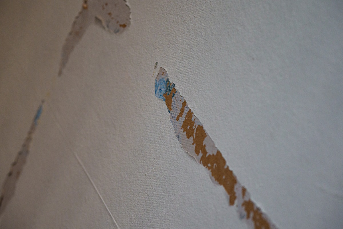 Sewage Cleanup service in Santa Fe, NM